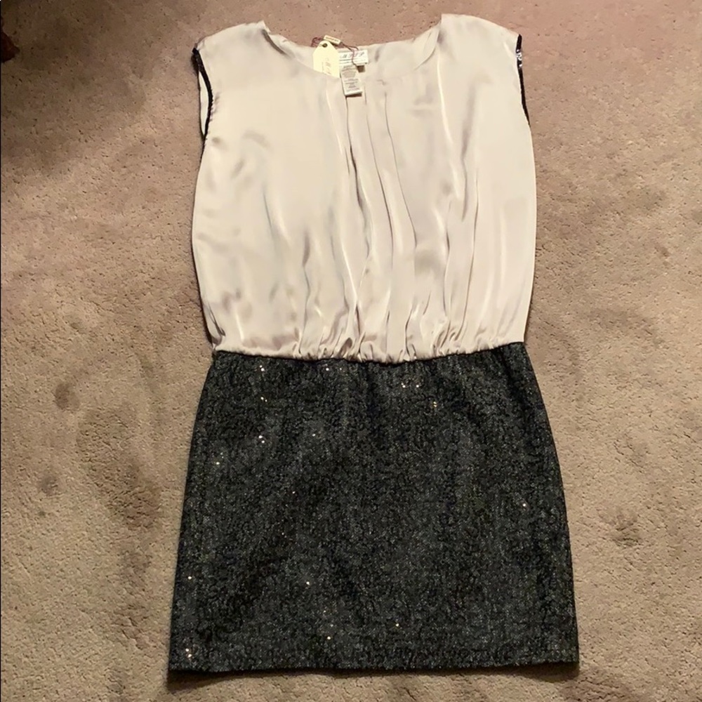 NWT dress